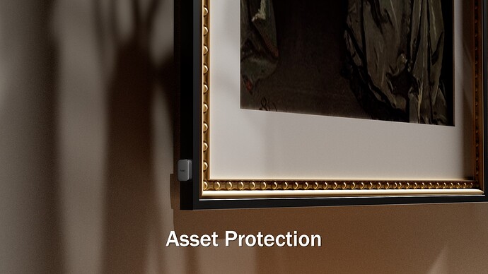 Asset Protection