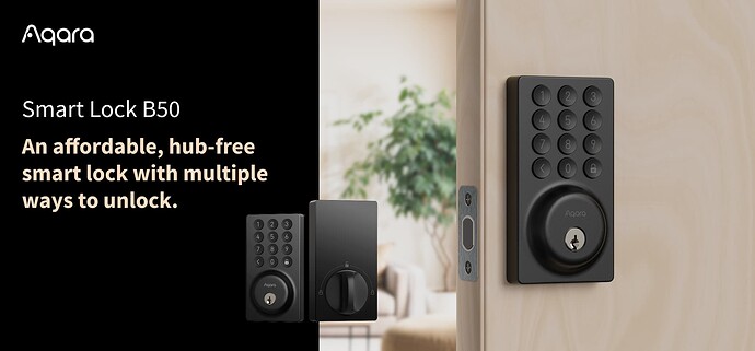 Smart Lock B50