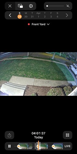 IMG_3927