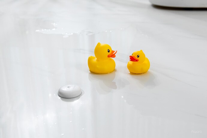 WaterLeakSensor
