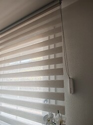IMG_20261001_141605